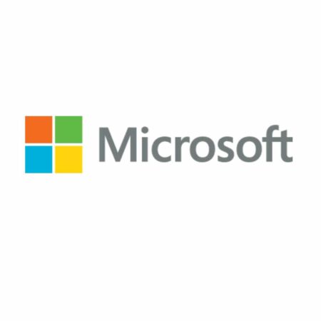 Microsoft Logo Egnetas.LT
