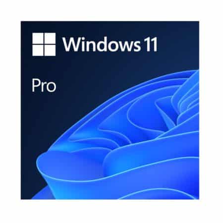 Microsoft Windows 11 Pro 64bit OEM DVD optinis diskas