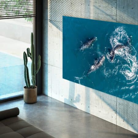 Samsung QN95B Neo QLED 4K 2022 Smart televizorius Lifestyle