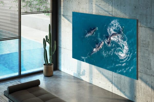 Samsung QN95B Neo QLED 4K 2022 Smart televizorius Lifestyle