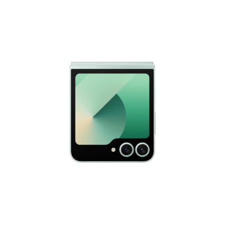 Samsung Galaxy Z Flip6 mėtinė spalva Egnetas.LT