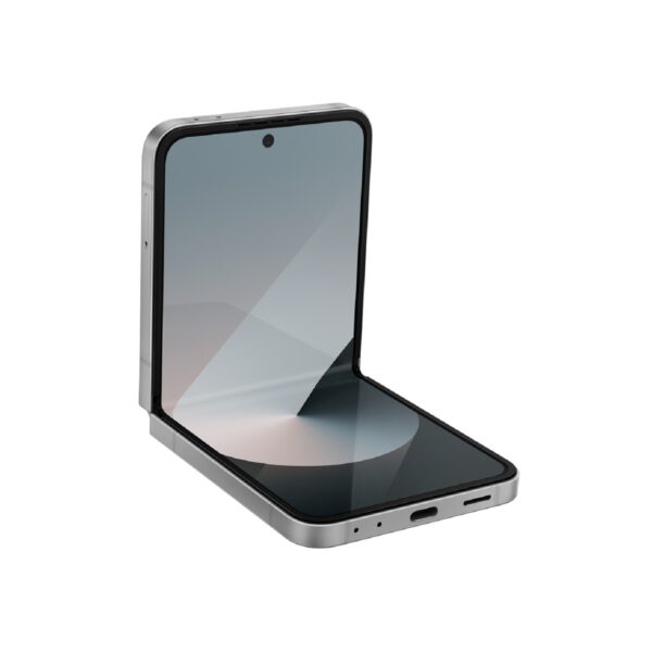 Samsung Galaxy Z Flip6 sidabrinė pilka spalva Egnetas.LT