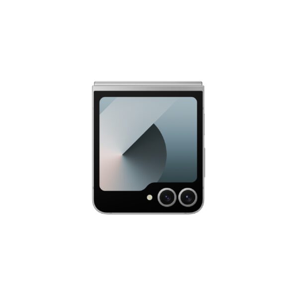 Samsung Galaxy Z Flip6 sidabrinė pilka spalva Egnetas.LT
