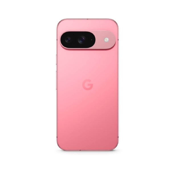 Google Pixel 9 Peony išmanusis telefonas Egnetas.LT