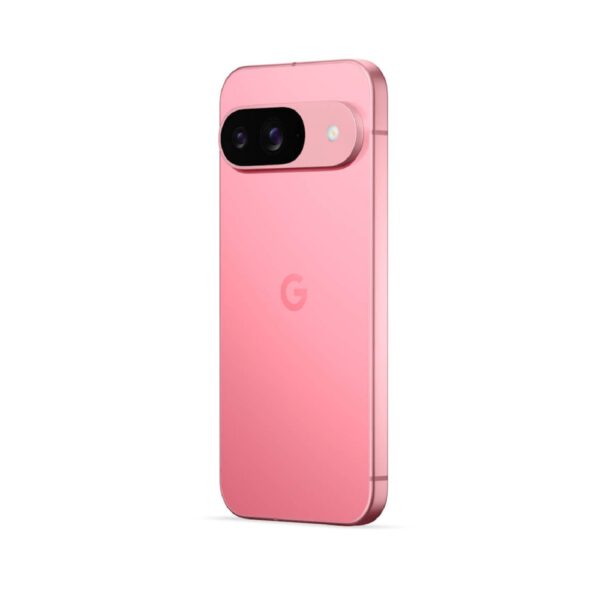Google Pixel 9 Peony išmanusis telefonas Egnetas.LT