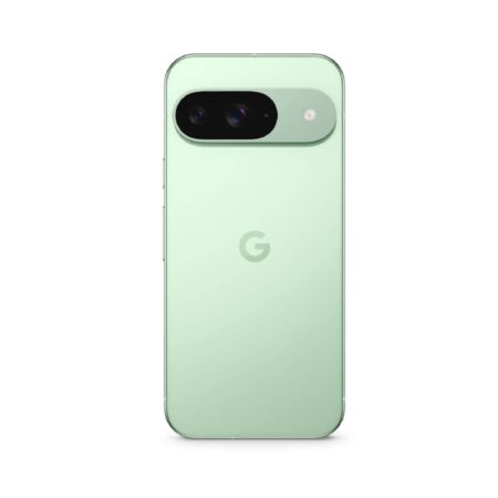 Google Pixel 9 Wintergreen išmanusis telefonas Egnetas.LT