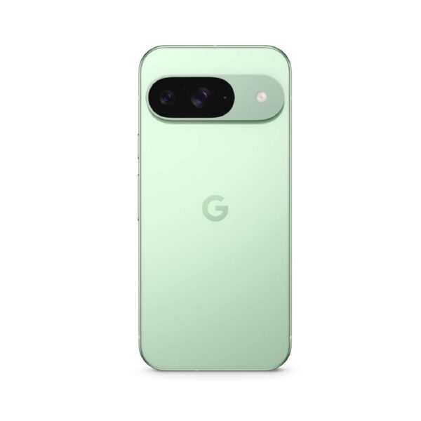 Google Pixel 9 Wintergreen išmanusis telefonas Egnetas.LT