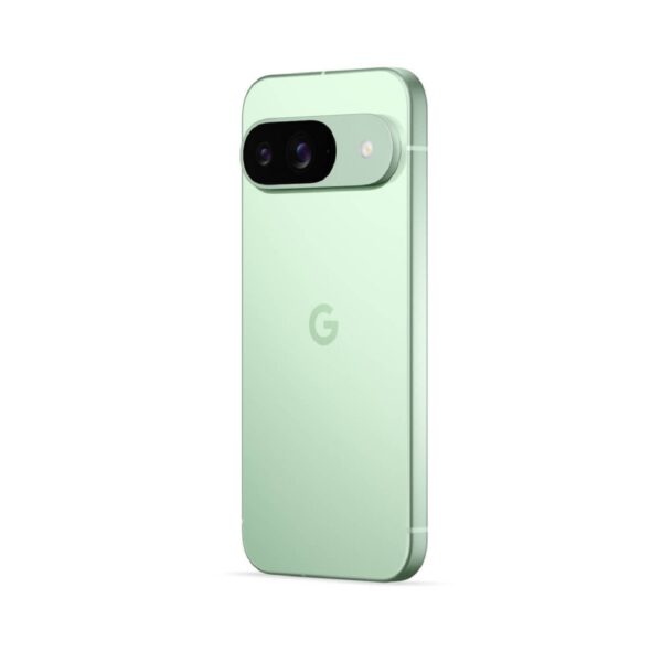 Google Pixel 9 Wintergreen išmanusis telefonas Egnetas.LT