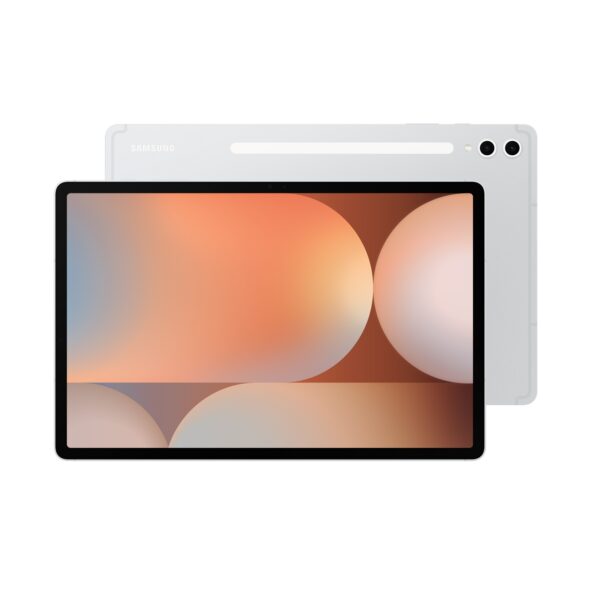 Samsung Galaxy Tab S10 Plus 12.4 platinos sidabro spalva Egnetas.LT